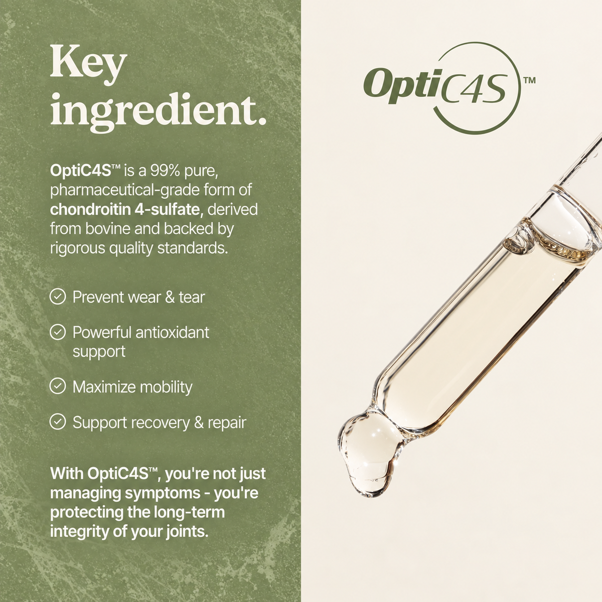 Joint & Mobility Sublingual Drops